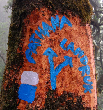 Annapurna NATT Trails