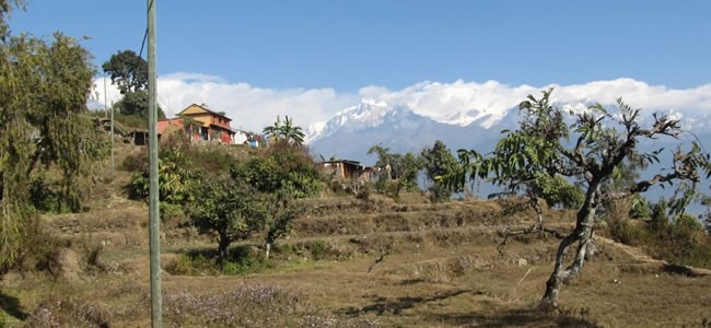 honey hunting tour in nepal