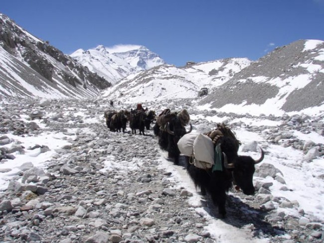 Advance Everest Base Camp Trek from Tibet