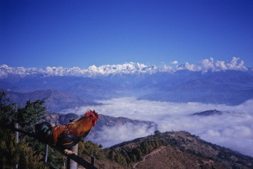 Scenic Nepal Tour