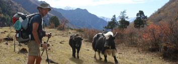 Tourism Activities in nepal
