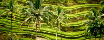 bali-honeymoon-package-9-nights