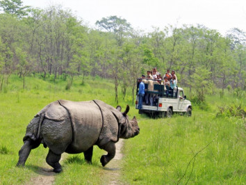 Chitwan Jeep Safari