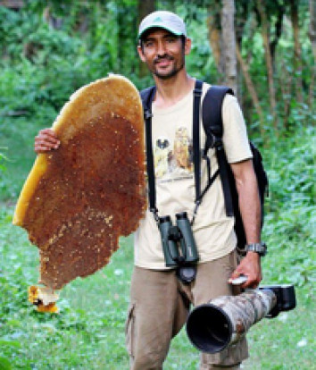Som Gc- Bird Guide and Photographer Leader