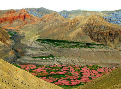 The Kingdom of Mustang
