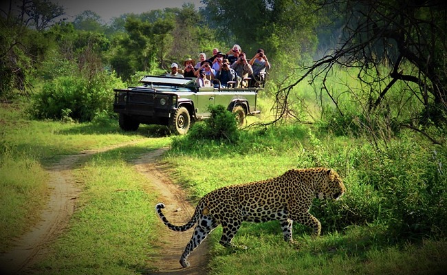 04 days Chitwan Jungle Safari Tour