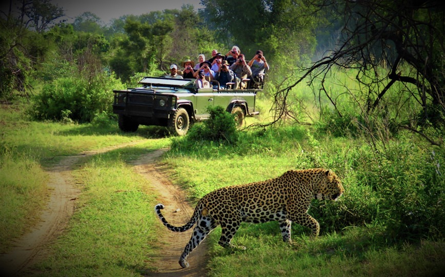 04 days Chitwan Jungle Safari Tour